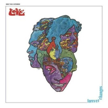 Vinyl Forever Changes Book