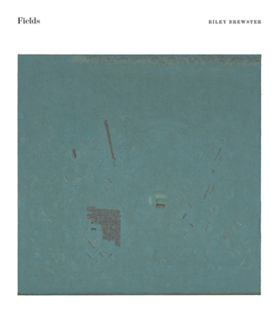 Paperback Fields: Paintings and Drawings Book