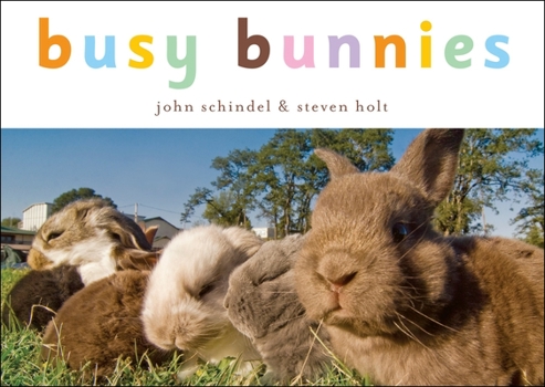 Busy Bunnies - Book  of the A Busy Book