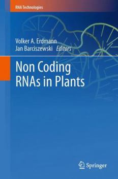 Paperback Non Coding Rnas in Plants Book