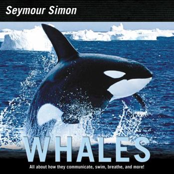 Paperback Whales Book