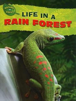 Paperback Life in a Rain Forest Book