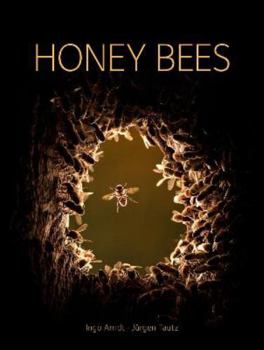 Hardcover Honey Bees Book