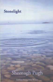 Paperback Stonelight Book