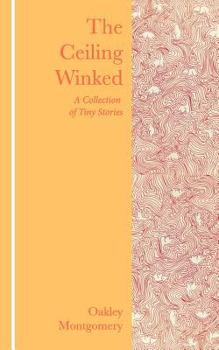 Paperback The Ceiling Winked: A Collection of Tiny Stories Book