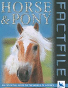 Paperback Horse and Pony Factfile Book