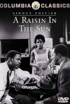 DVD Raisin in the Sun Book