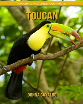 Toucan: Amazing Pictures and Facts