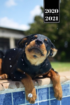 Baby Rottweiler Dog Calendar Week Planner 2020 / 2021 - Lying at the Pool: Pup Puppy Doggie Pet Owner Weekly Bullet Journal Notebook Diary in 6” x 9” Inch Pocket Size
