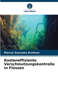 Kosteneffiziente Verschmutzungskontrolle in Flüssen (German Edition)