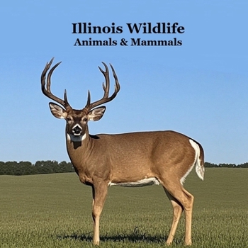 Illinois Animals and Mammals Wildlife Book: Great Illinois Animals book with Lifelike Images and Fun Facts