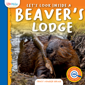 Hardcover Let's Look Inside a Beaver's Lodge Book