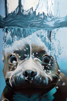 Paperback The Fast & Easy Planner 2020 (+Checklists & Trackers): Week to view planner for 2020, plus monthly overviews for 2021 and yearly calendars. Includes c Book