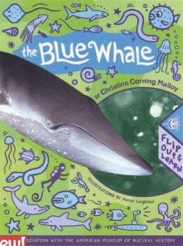 Hardcover The Blue Whale: Flip Out and Learn Book