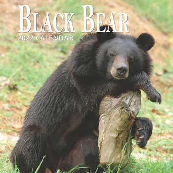 Paperback Black Bear Calendar 2022: 16 Months Planner (Sept 2021 to Dec 2022) Book