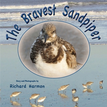 Paperback The Bravest Sandpiper Book