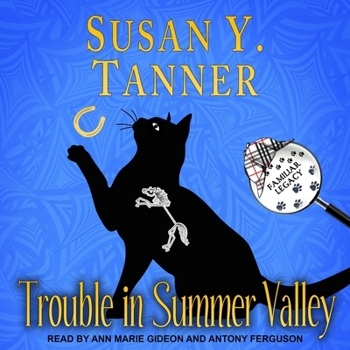 MP3 CD Trouble in Summer Valley Book