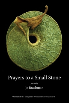 Paperback Prayers to a Small Stone Book