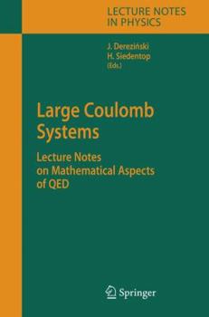 Paperback Large Coulomb Systems: Lecture Notes on Mathematical Aspects of Qed Book