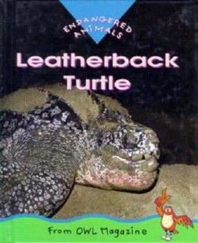 Hardcover Leatherback Turtle Book