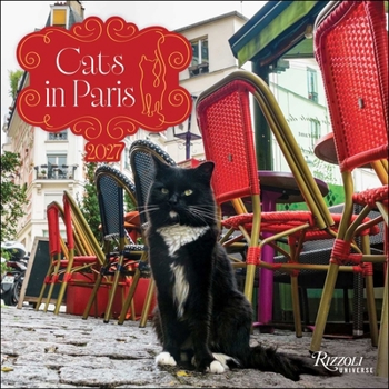 Calendar Cats in Paris 2027 Wall Calendar Book
