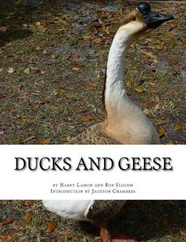 Paperback Ducks and Geese Book