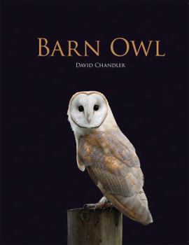 Hardcover Barn Owl Book