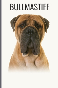 Paperback Bullmastiff: Bullmastiff Notebook with More Bullmastiffs Inside - Unique Journal For Proud Dog Owners, Dads - 120 Pages Blank (6 x Book