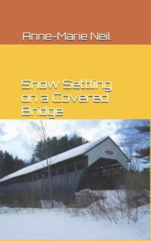 Snow Settling on a Covered Bridge