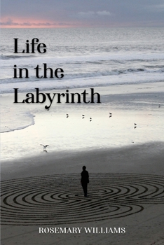 Paperback Life in the Labyrinth Book