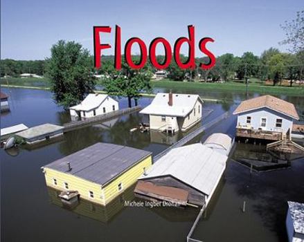 Paperback Floods Book