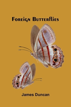 Paperback Foreign Butterflies Book