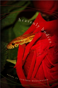 Paperback Heavenly Bodies Book