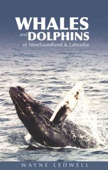 Paperback Whales and Dolphins of Newfoundland and Labrador Book