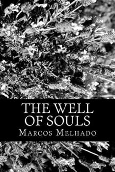 Paperback The Well of Souls Book