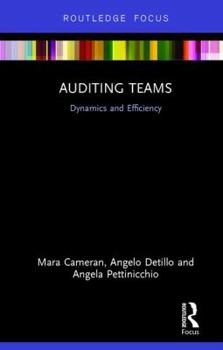 Hardcover Auditing Teams: Dynamics and Efficiency Book