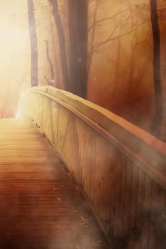 Paperback Bridge: Where 2 Sides Come Together. Book