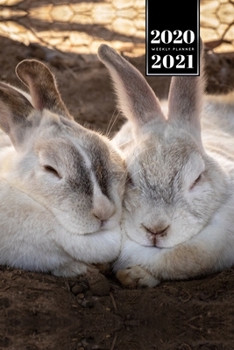 Rabbit Bunny Hare Rodent Week Planner Weekly Organizer Calendar 2020 / 2021 - Head to Head: Cute Wildlife Animal Pet Bullet Journal Notebook Diary in 6” x 9” Inch Pocket Size