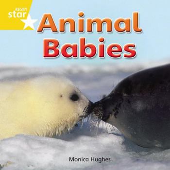 Paperback Rigby Star Independent Reception Yellow Non Fiction Animal Babies Single Book