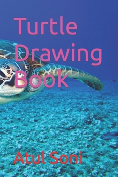 Paperback Turtle Drawing Book