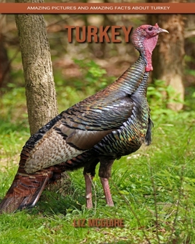 Paperback Turkey: Amazing Pictures and Amazing Facts about Turkey Book