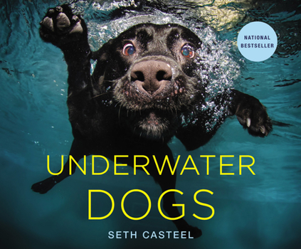 Hardcover Underwater Dogs Book