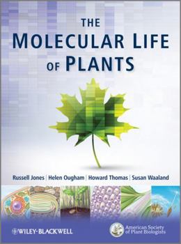 Paperback The Molecular Life of Plants Book