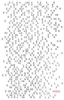 Paperback Echolocation Book