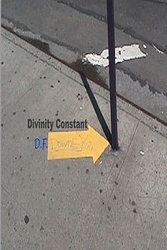 Paperback Divinity Constant Book
