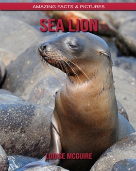 Sea Lion: Amazing Facts & Pictures