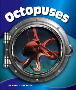 Octopuses - Book  of the In the Deep Blue Sea