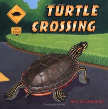Hardcover Turtle Crossing Book
