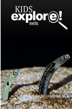 Paperback Eels - Kids Explore: Animal books nonfiction - books ages 5-6 Book