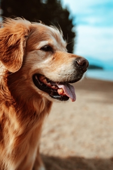 Golden Retriever Dog Pup Puppy Doggie Notebook Bullet Journal Diary Composition Book Notepad - Beach View: Cute Animal Pet Owner Composition Book with 100 Quad Ruled Graph Paper Pages in 6” x 9” Inch